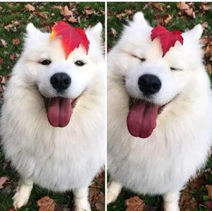 Meet your Posher, Lorena